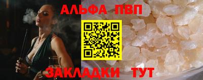стафф Гатчина