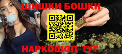 стафф Гатчина