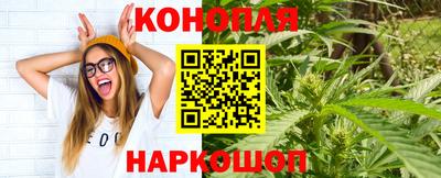 стафф Гатчина