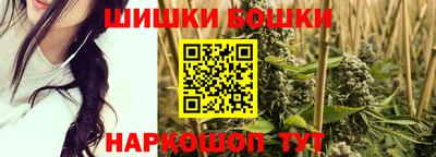 стафф Гатчина