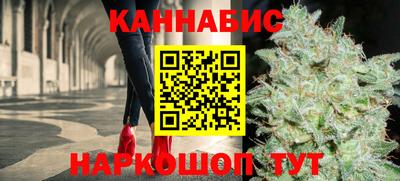 сатива Гай