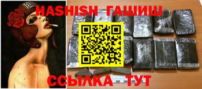 стафф Гатчина