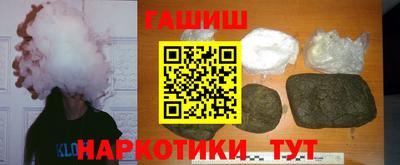 сатива Гай