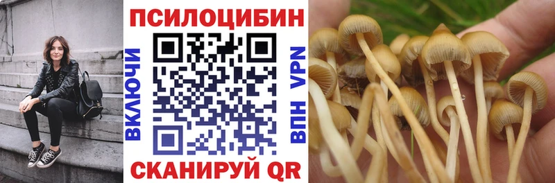 Псилоцибиновые грибы Psilocybe  Ангарск 