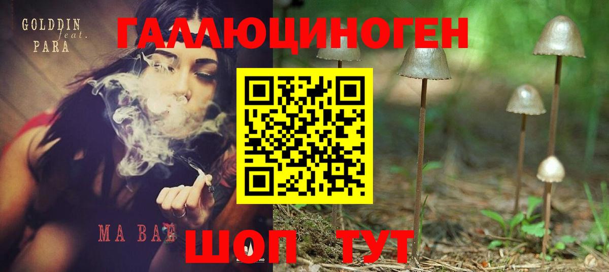 Ангарск  Галлюциногенные грибы мицелий  Вход с VPN  Галлюциногенные грибы Psilocybe 